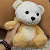 Мягкая игрушка "Мишка в костюме кота", 24 см
