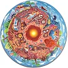 Пазл круглый Hape Подземный мир 36 эл. (E1637)