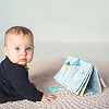 Развивающая Перекидная Книжка Коллекции Мечтательные Коалы - Приключения Коалы Кимми