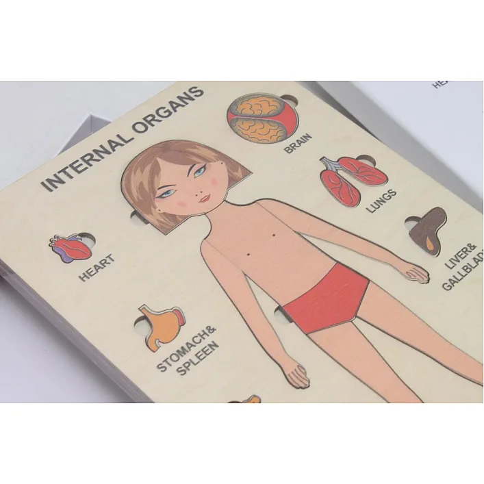 Пазлы обучающие "Internal Organs: Девочка"