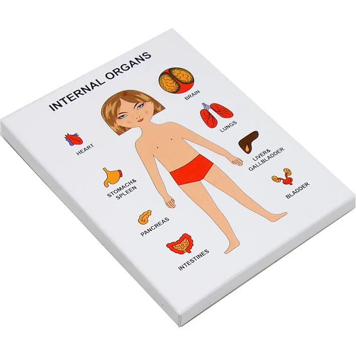 Пазлы обучающие "Internal Organs: Девочка"