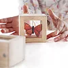 Набор Guidecraft Natural Play Сокровища в прозрачных ящиках (G3084)