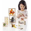 Набор Guidecraft Natural Play Сокровища в прозрачных ящиках (G3084)