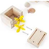 Набор Guidecraft Natural Play Сокровища в прозрачных ящиках (G3084)