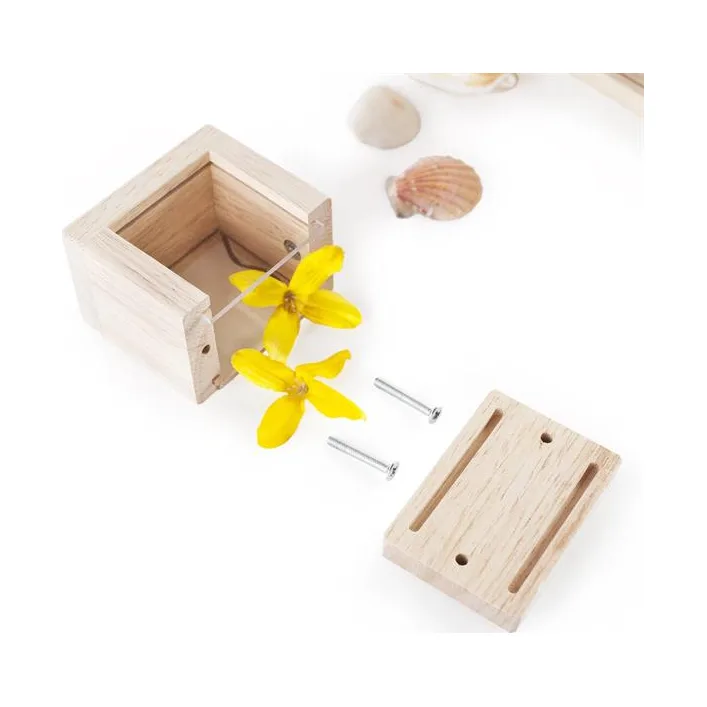 Набор Guidecraft Natural Play Сокровища в прозрачных ящиках (G3084)