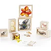 Набор Guidecraft Natural Play Сокровища в прозрачных ящиках (G3084)