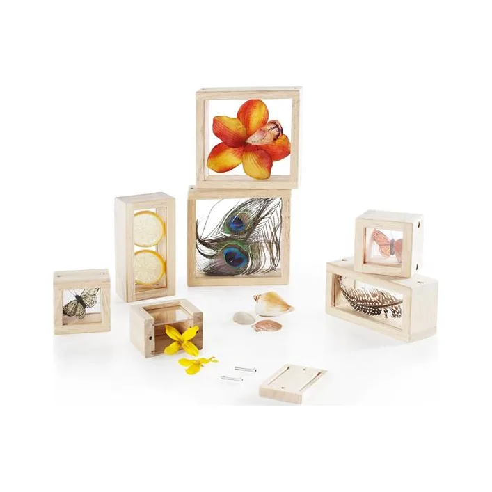 Набор Guidecraft Natural Play Сокровища в прозрачных ящиках (G3084)