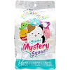 Мягкая игрушка-сюрприз Squishmallows – Веселые фруктики (13 cм)
