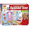 Навчальні пазли. Будова тіла 13164012У