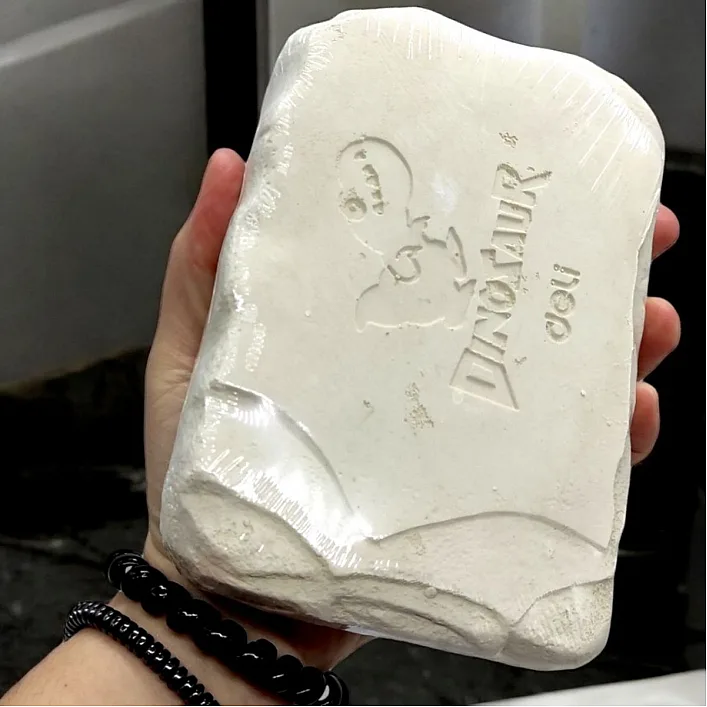 Набiр для розкопок "Fossil Detective: Динозавр Тиранозавр"