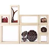 Набор Guidecraft Natural Play Сокровища в прозрачных ящиках (G3084)
