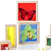 Набор Guidecraft Natural Play Сокровища в цветных ящиках (G3085)