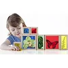 Набор Guidecraft Natural Play Сокровища в цветных ящиках (G3085)
