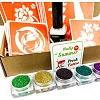 Набор для био-тату "Лето 2.0 - глиттер" set-summer-v2-glitter