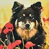 Алмазна мозаїка "Песик у маковому полі" HEE13812 30х30 см