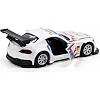 Автомодель - BMW Z4 GT3 (білий)