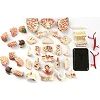 Модель черепа с нервами Edu-Toys сборная 9 см (SK010)