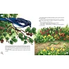 Детская книжка Хвосты. Самый первый детектив 253646, 40 страниц
