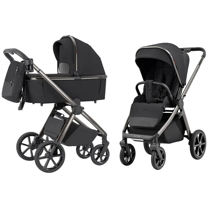 Коляска универсальная CARRELLO Omega CRL-6530/1 (2in1) Absolute Black (Нем3165)