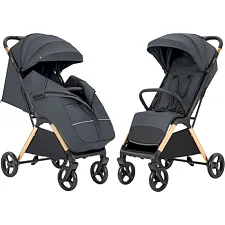 Детская прогулочная коляска CARRELLO Cross (CRL-5523 ​​Eagle Grey)