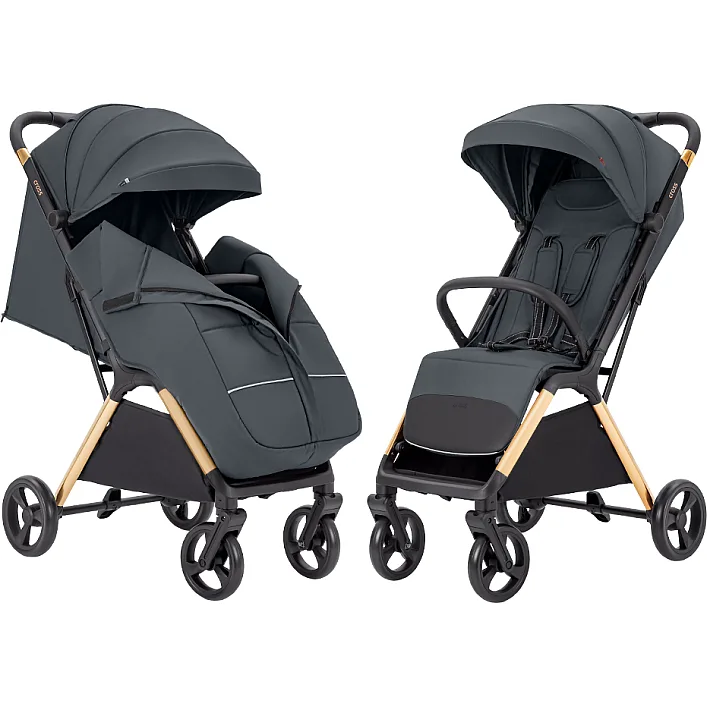 Дитяча Прогулянкова коляска CARRELLO Cross (CRL-5523 Eagle Grey)