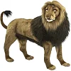 Мягкая игрушка Лев, стоящий L. 120см, HANSA (7336)