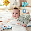 Развивающий коврик Hape Полярный мишка (E0074)