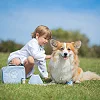 Игровой набор Ветеринарный, Bigjigs Toys, 12 предметов, арт. 33002