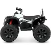 Дитячий електроквадроцикл Bambi Racer M 4795EBLR-1 до 30 кг