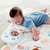 Развивающий коврик Hape Полярный мишка (E0074)
