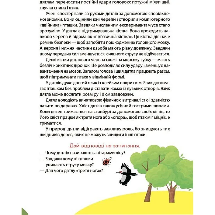 Книжка дитяча "Читанки. Читанка-ЧОМУчка" 9+ (укр)